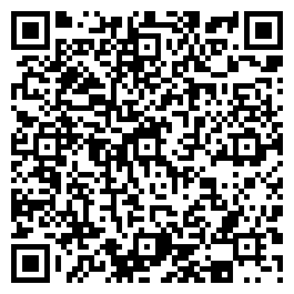 QR Code For The Silver Shop