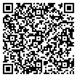 QR Code For Village Chic