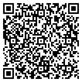 QR Code For The Vintage Shop