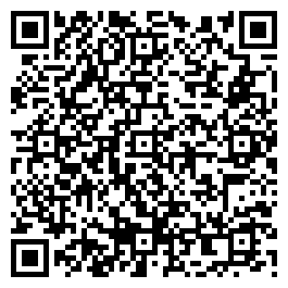 QR Code For The Village Gallery