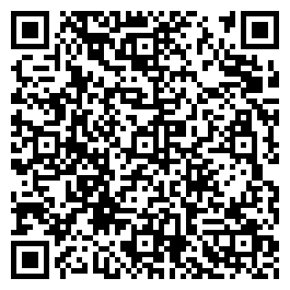 QR Code For Palace Antiques
