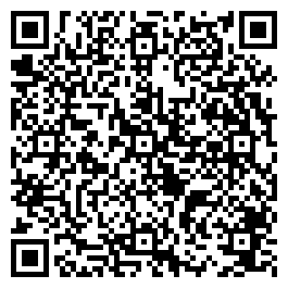 QR Code For Past Times Antiques