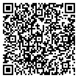 QR Code For Mayzing Antiques