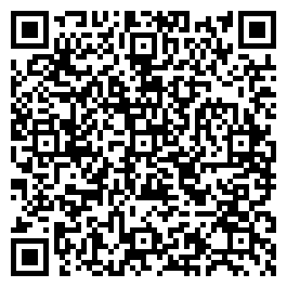 QR Code For Junior Antiques