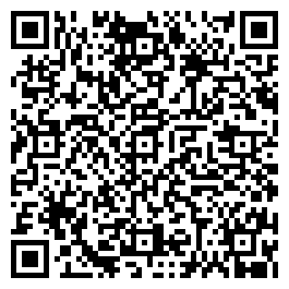 QR Code For Louis Style Shop