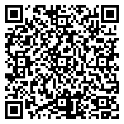 QR Code For Briggsys