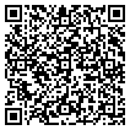 QR Code For The Bull Ride