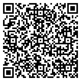 QR Code For Village Antiques