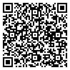 QR Code For Pan Shop Antiques