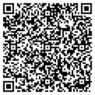 QR Code For Designs Of Modernity