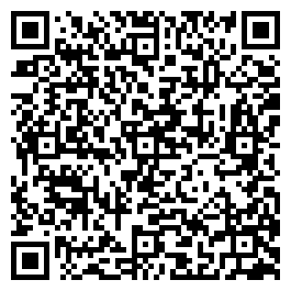 QR Code For Village Antique Market