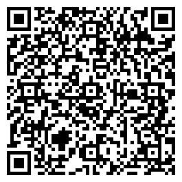 QR Code For Wyle Cop Antiques