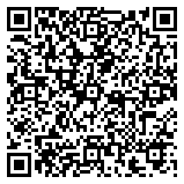 QR Code For The Antique Gallery