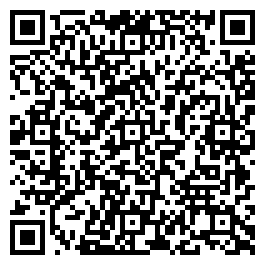 QR Code For Village Antiques